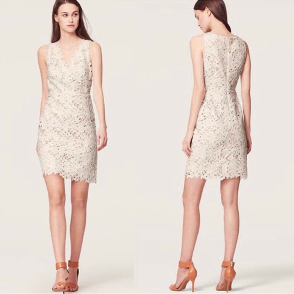 LOFT white floral eyelet dress